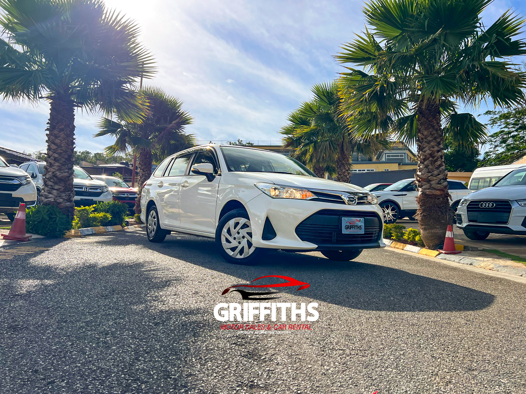 Toyota Corolla Fielder