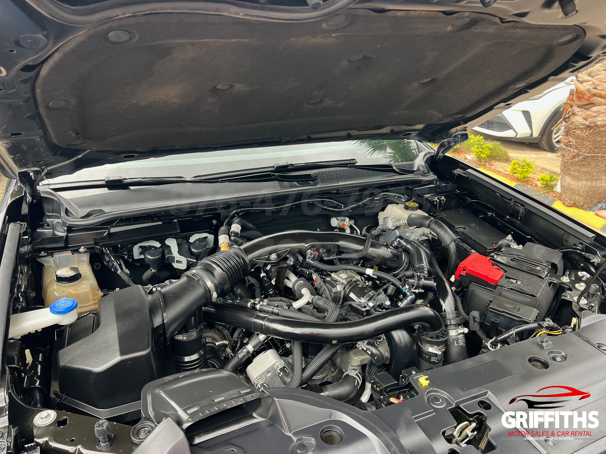 Vehicle Image 8